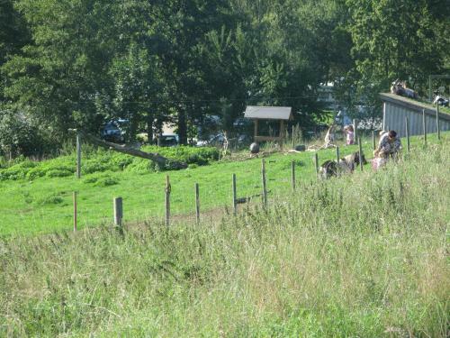Sor� Camping & Cottages