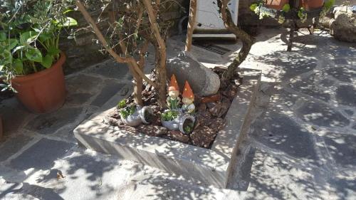 Agroturismo Apartamentos Ca�ardo Autural