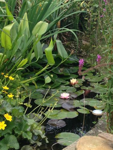 Hostal Maison D'h�tes Les Rainettes