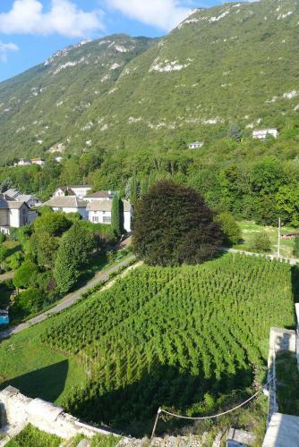 Hotel Ch�teau De Bourdeau