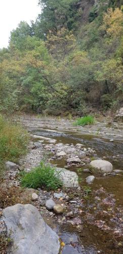 Bed & Breakfast Le Moulin D'onclaire