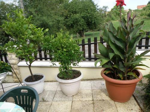 Bed & Breakfast Chambres D'hotes Le Pavillon Du Charme