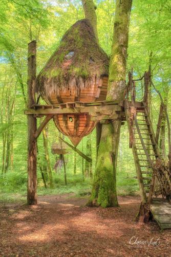 Agroturismo L'arbre � Cabane