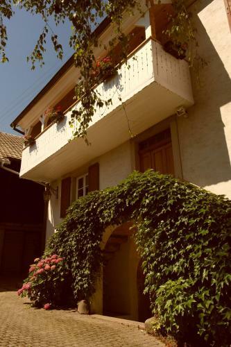 La Vieille Vigne Bed & Breakfast