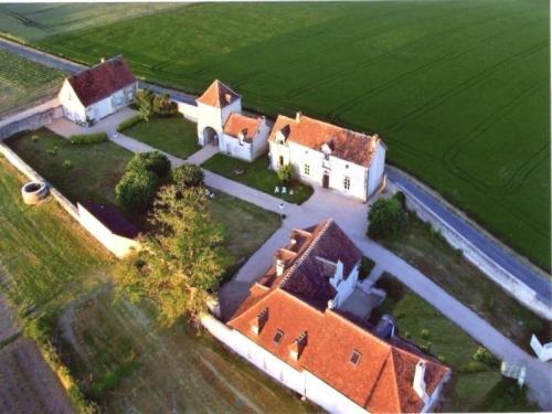House Le Colombier 4