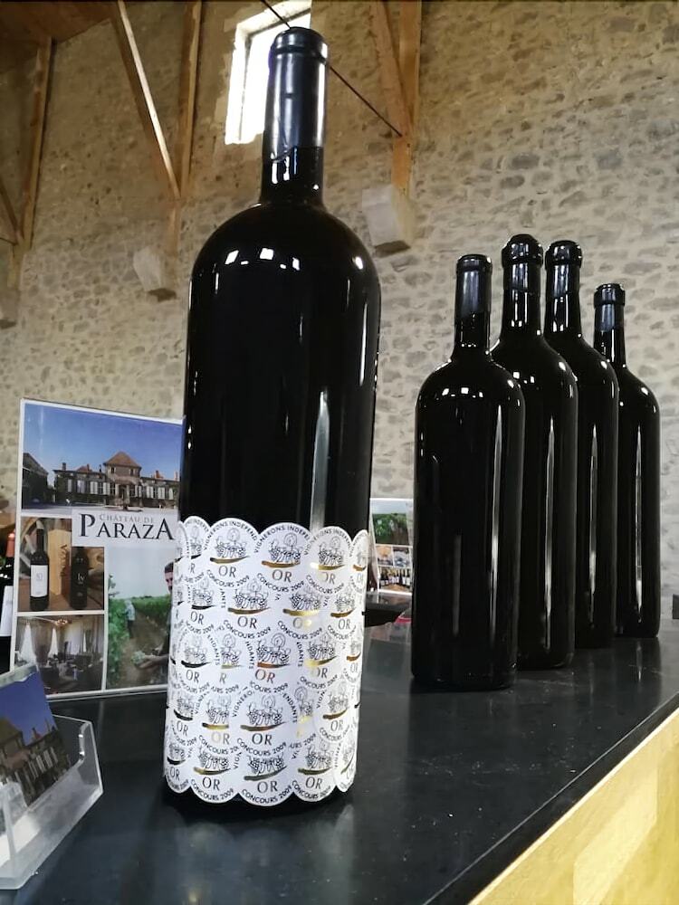 Bed & Breakfast Chateau de Paraza