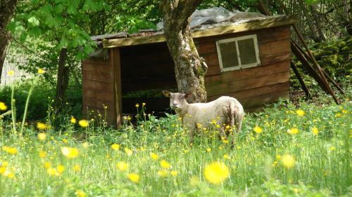 Hostal Maison Les Greniers