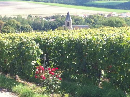 Bed & Breakfast Manoir de Montflambert