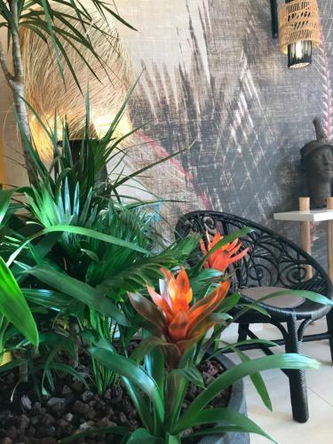 Bed & Breakfast Escapades Lointaines