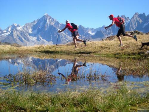 Les Edelweiss Mont-blanc B&B
