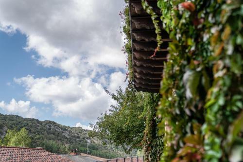 Hostal Caba�a Real De Carreteros