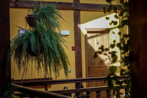Hostal Caba�a Real De Carreteros