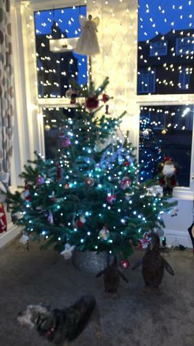 Bagshaw B&B