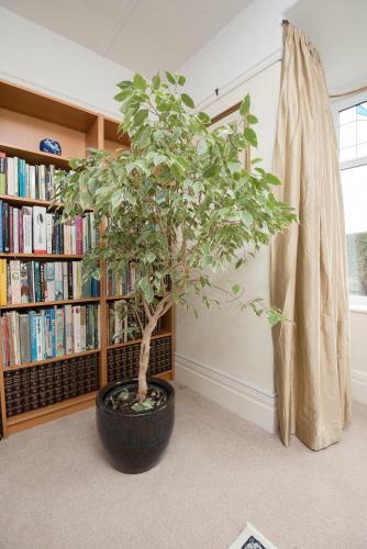 Apartamento Rowan House