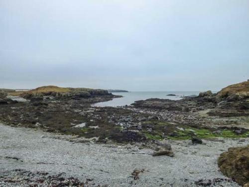 Driftwood, Holyhead
