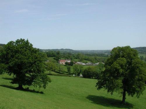 Whitcombe Cottage, Honiton