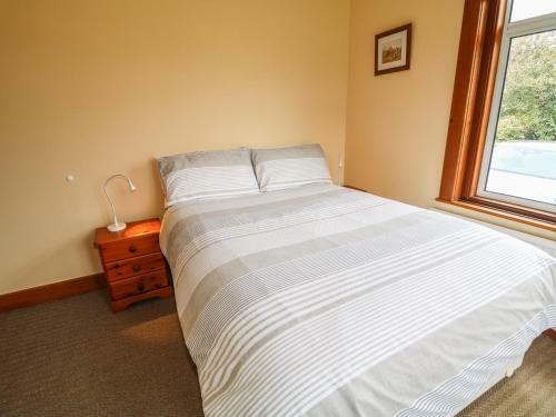 The Hide, Newtownards