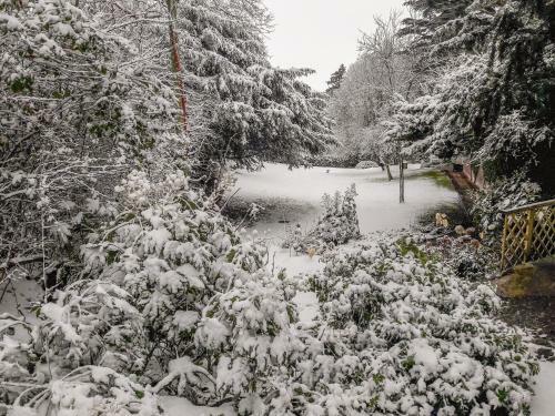 Cedar Gardens