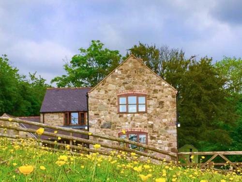 Coed Y Gaer