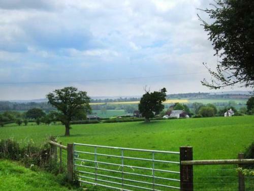 Tyn-y-cae
