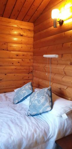 Apartamento Rhinog View Mountain Log Cabin