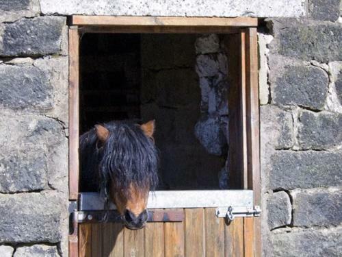 Stables Cottage, Todmorden