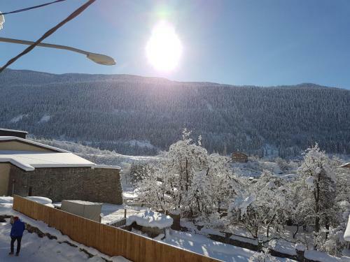 Hostal Guesthouse Robi