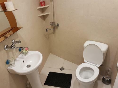 Hostal Guesthouse Robi