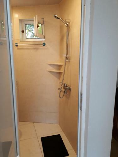 Hostal Guesthouse Robi