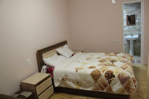 Hostal Guesthouse "girgvliani"