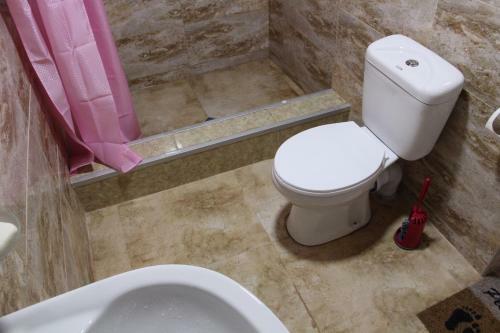 Hostal Guesthouse "girgvliani"