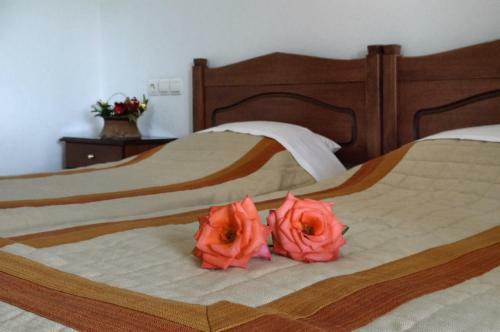Hotel Ainareti