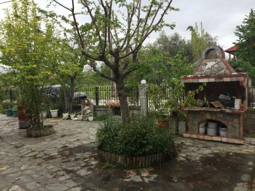 Orange Villa