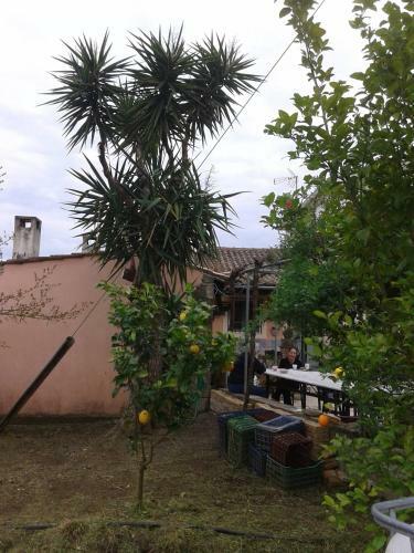 Agroturismo Old Farm House