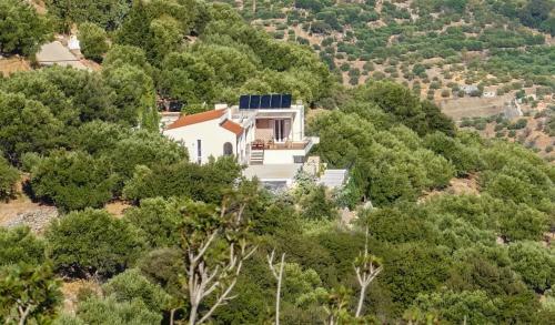 Apartamento Villa Dio Petres