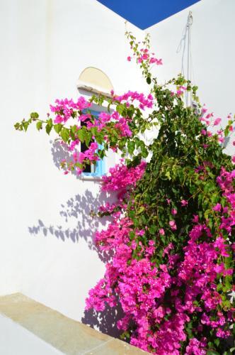 Apartamento Abrami Traditional Villas & Studios