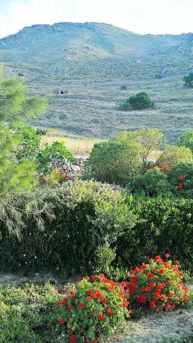 Balcony To The Aegean