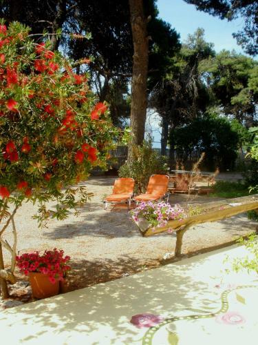 Holiday Apartment In Psatha Bay - Vilia Attica