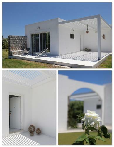 B&B Maliva