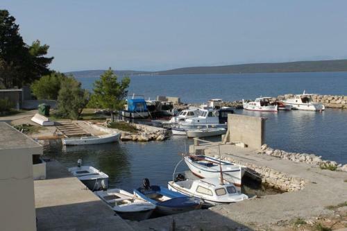 Apartments By The Sea Nevidjane, Pasman - 8453