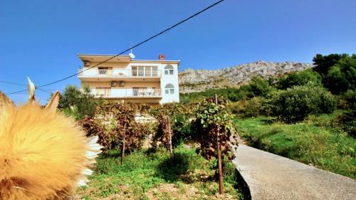 Apartment Nemira