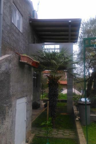 Apartments By The Sea Dobropoljana, Pasman - 11562