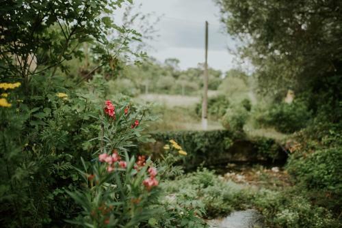 Country House On The Water Mill