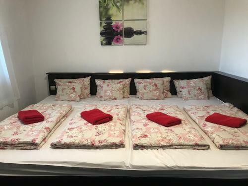 Hostal Bocskai Domb Vend�gh�z