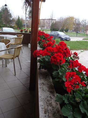 Hostal Czermann Panzi� �s �tterem
