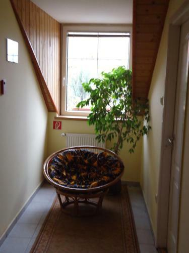 Hostal Czermann Panzi� �s �tterem