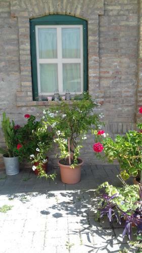 Bed & Breakfast Hegyh�t - Izm�ny �d�l?h�z