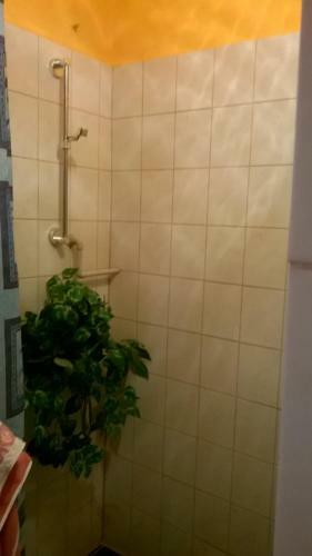 Hostal Nagyk? Vend�gh�z