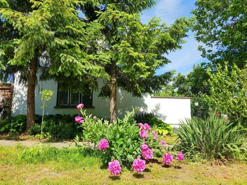 Hostal K�ti Vend�gh�z