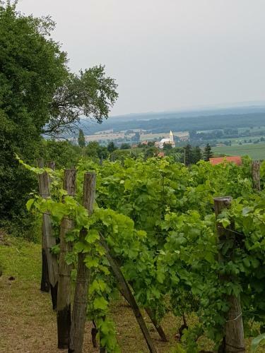 Ferienhaus Feny